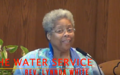 The Water Service