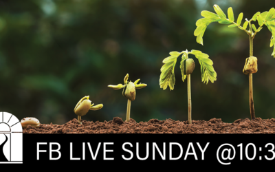 The Purpose of Planting Seeds