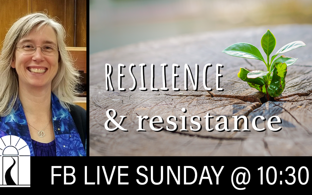Resilience and Resistance