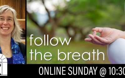 Follow the Breath