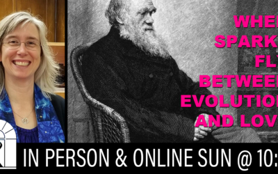 When Sparks Fly Between Evolution and Love