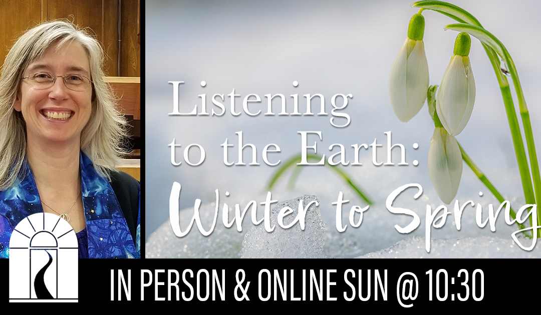 Listening to the Earth: Winter to Spring